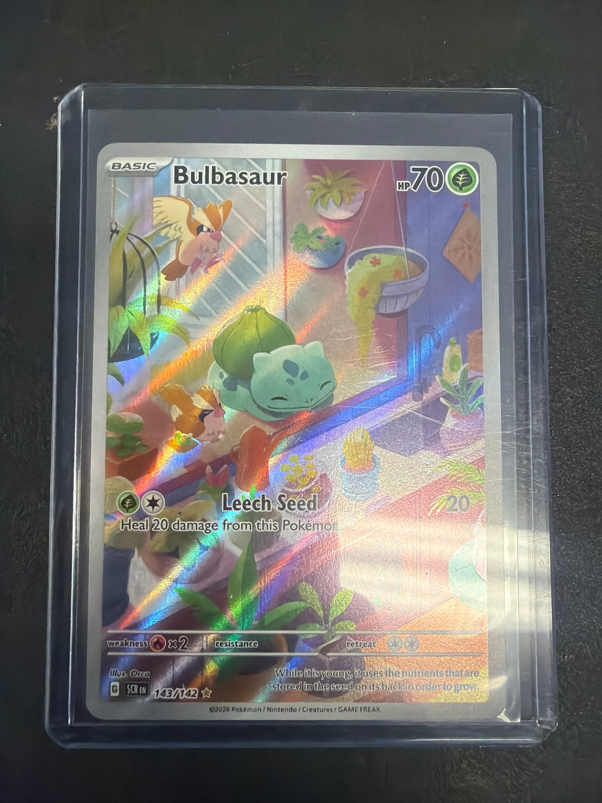 Bulbasaur 143/142 SV07 Stellar Crown Illustration Rare Holo EN 70HP | Pokémon