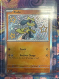 Riolu 173/091 • Paldean Fates | Pokémon
