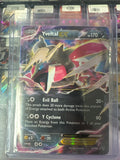 Yveltal EX XY150 Promo • XY | Pokémon