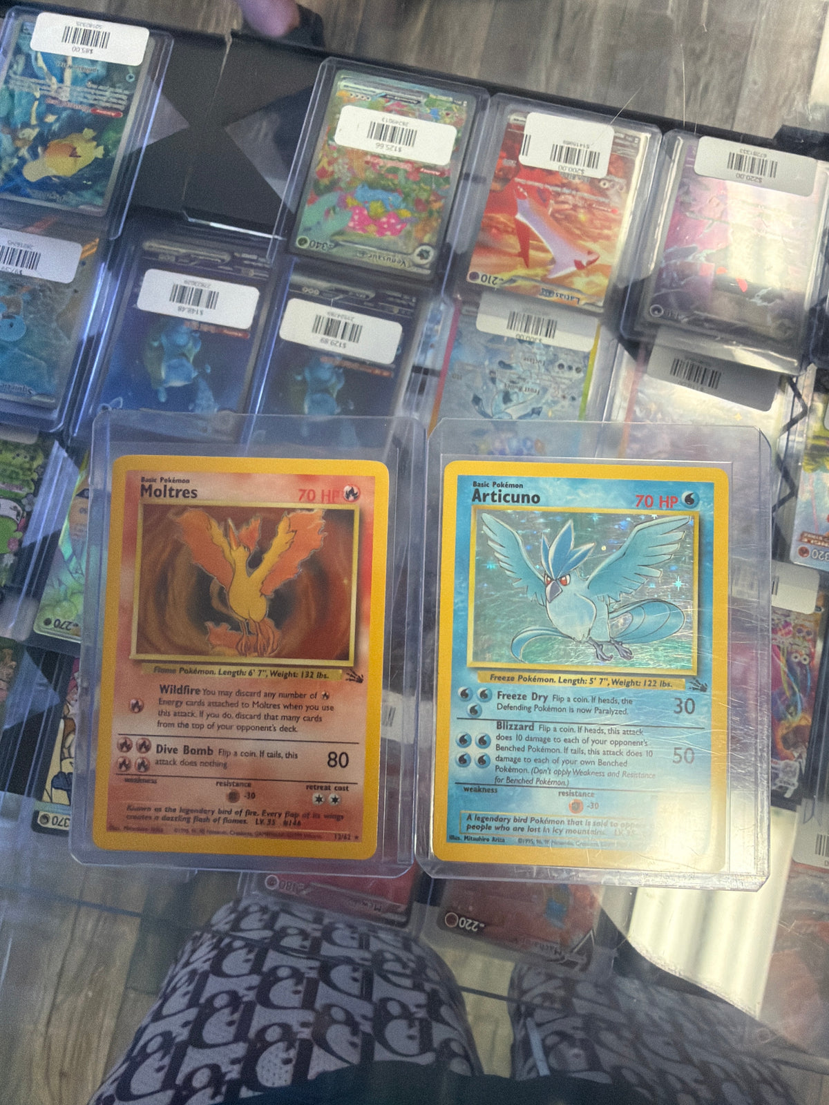 Motres & Articuno Fossil
