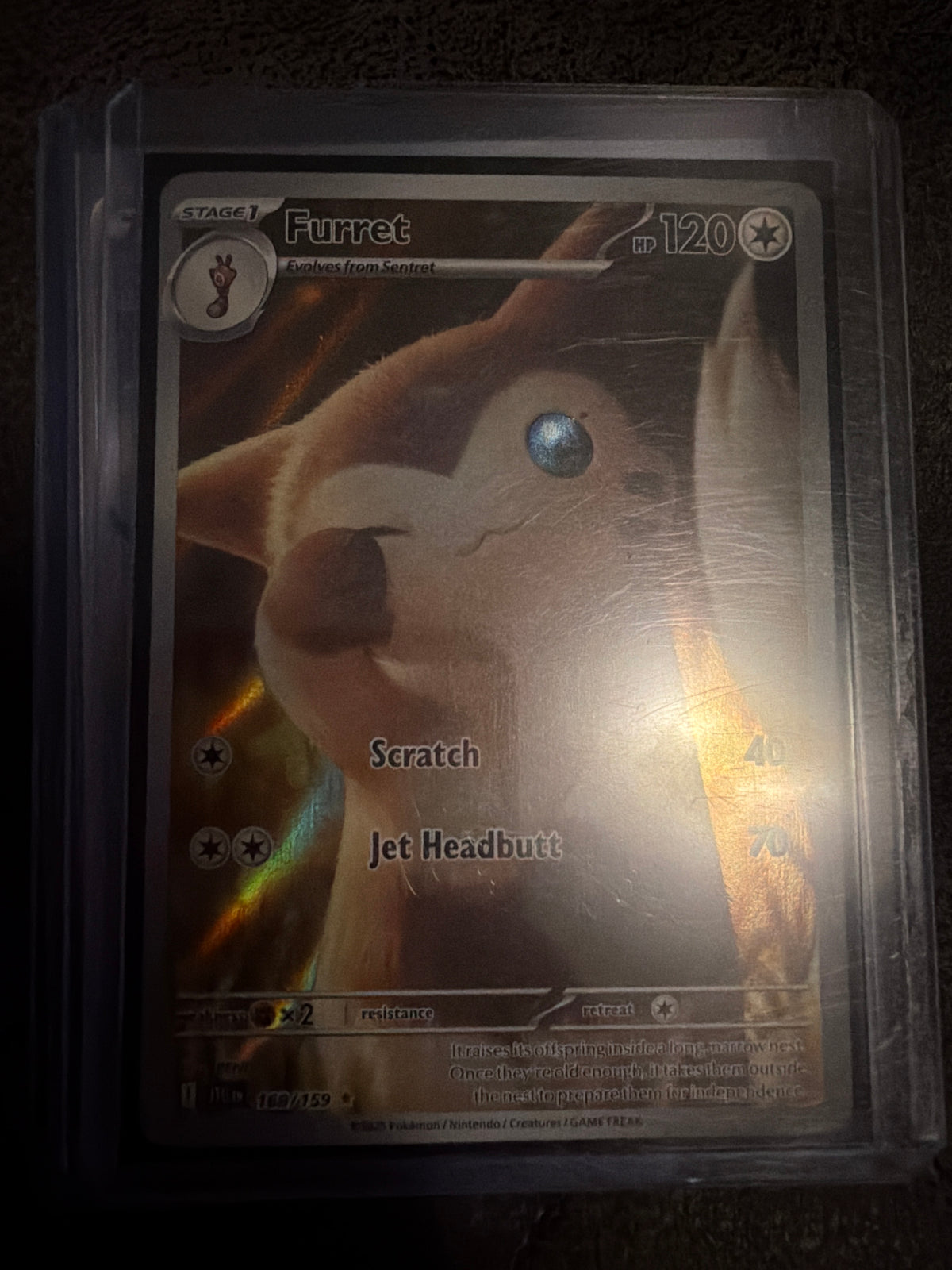 Furret - 168/159 - SV09: Journey Together (JTG | Pokémon