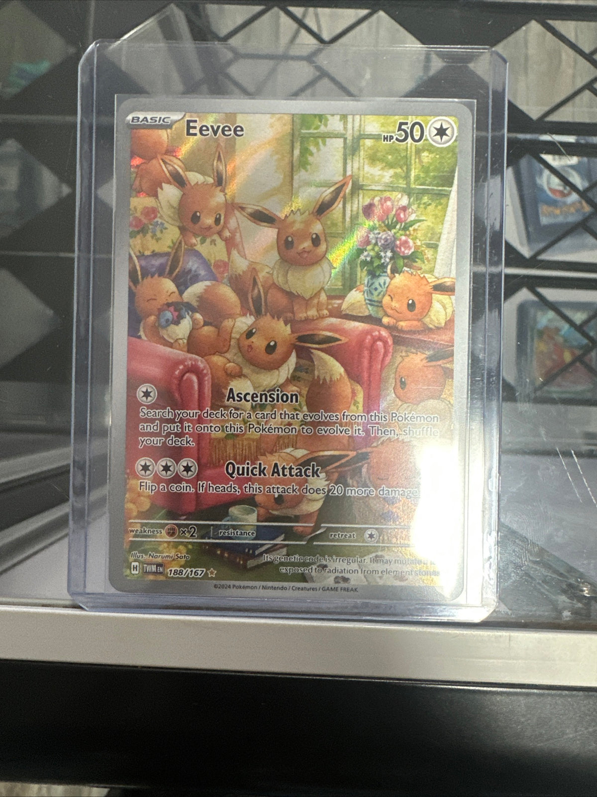 Eevee 188/167 | Pokémon